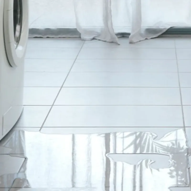 Appliance Leak Cleanup in Lakeside, CA